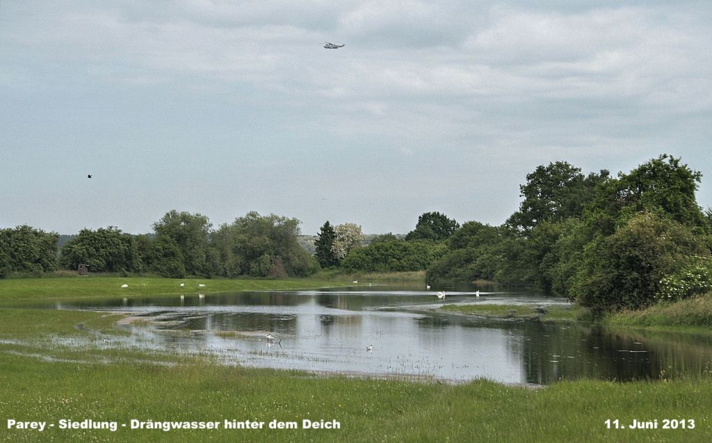 Hochwasser- 2013_06_11-003-Parey-Siedlung.jpg